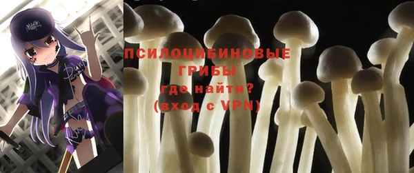 спайс Белокуриха