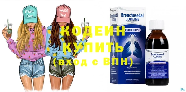 индика Сосновоборск