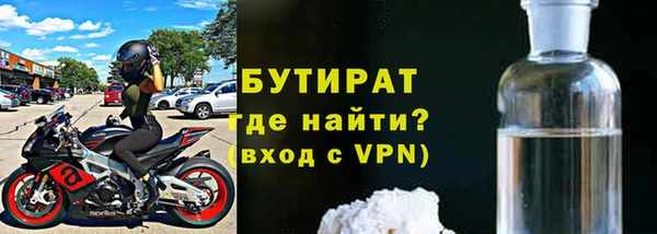 индика Сосновоборск