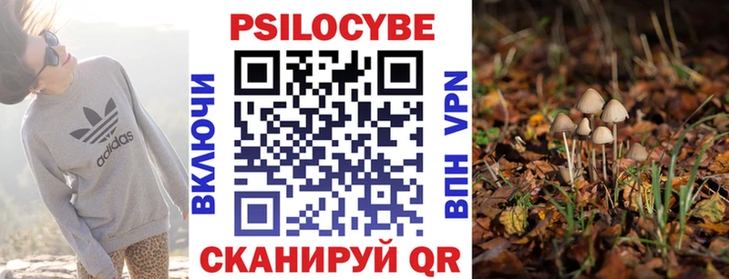 цена наркотик  Краснокаменск  Галлюциногенные грибы Psilocybe 